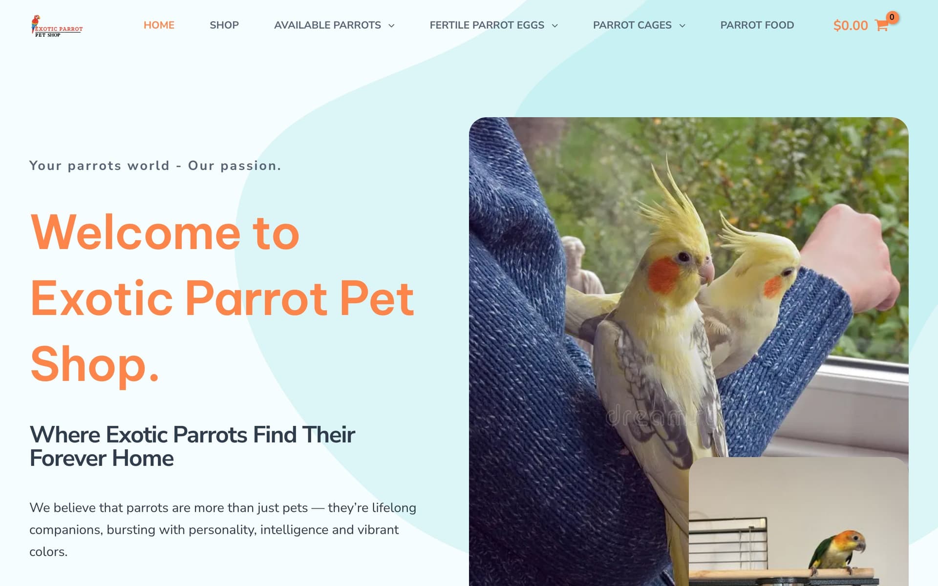 exotic-parrot.jpg