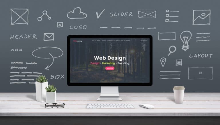 web design agency in Noida