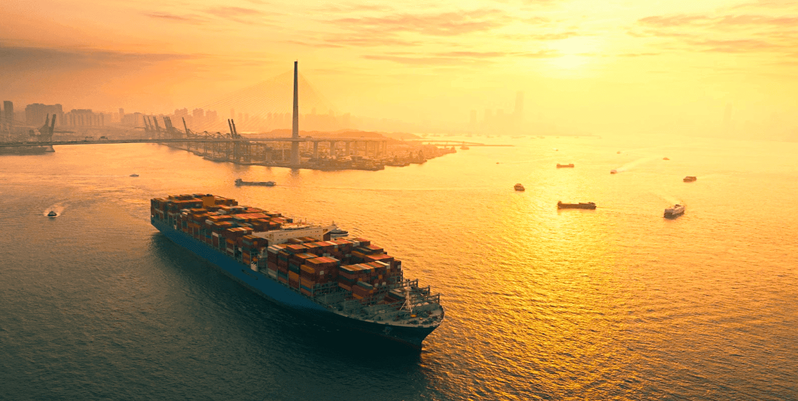 ocean freight management software