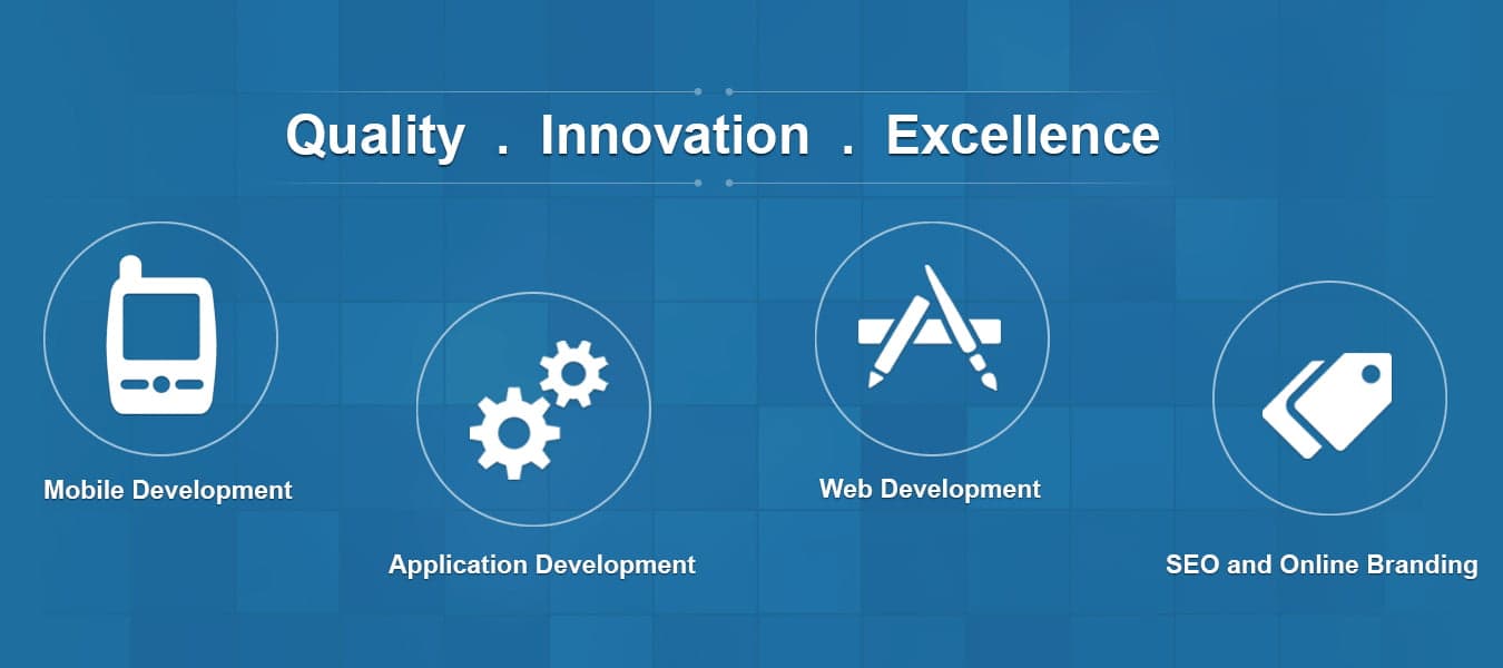Benefit From Our Website Development Company in Delhi