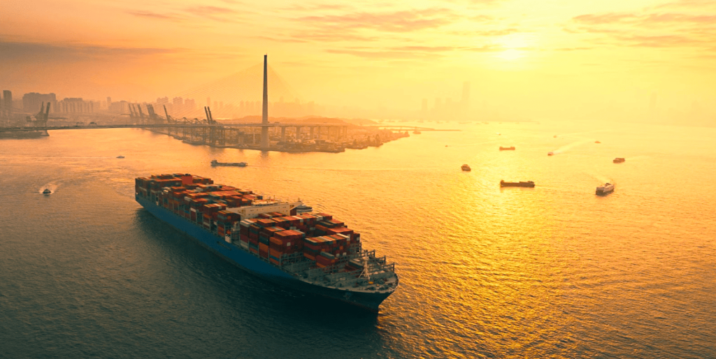 ocean freight management software